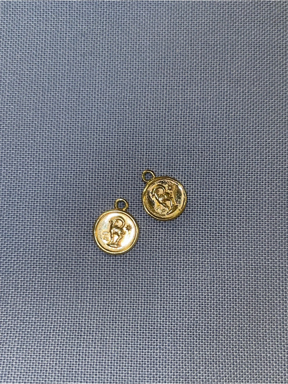Ana Luisa Gold Tone Capricorn Zodiac Charms